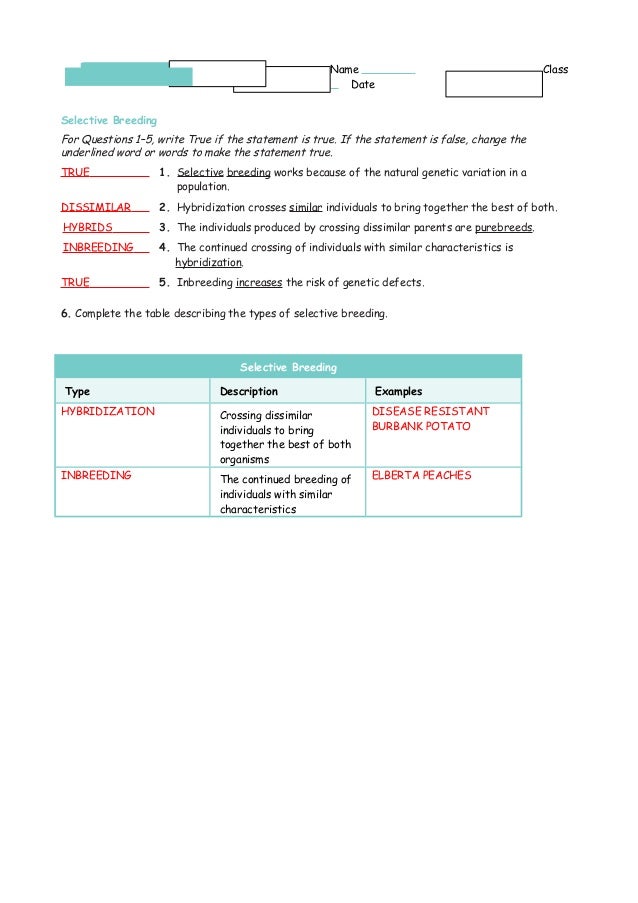 Intro To Engineering And Design Eoc Study Guide Pdf Intro To Engineering And Design Eoc Study Guide Pdf