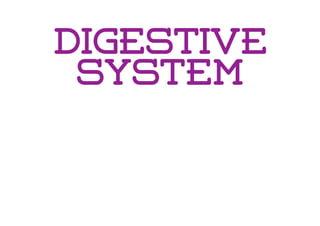 Digestive
System
 