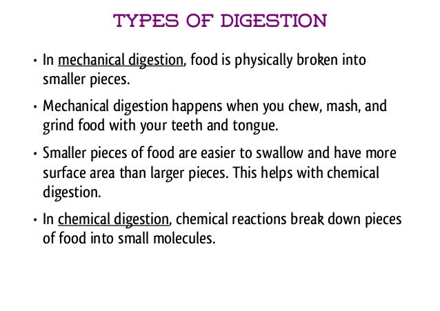 Digestive System