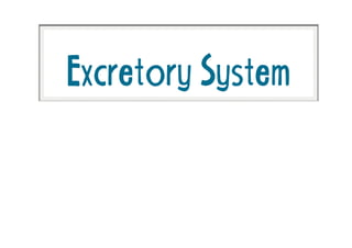 ExcretorySystem
 