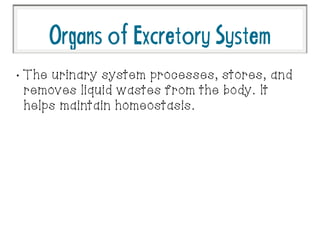 OrgansofExcretorySystem
•
The urinary system processes, stores, and
removes liquid wastes from the body. It
helps maintain homeostasis.
 
