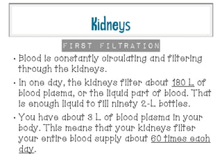 •
Blood is constantly circulating and filtering
through the kidneys.
•
In one day, the kidneys filter about 180 L of
blood plasma, or the liquid part of blood. That
is enough liquid to fill ninety 2-L bottles.
•
You have about 3 L of blood plasma in your
body. This means that your kidneys filter
your entire blood supply about 60 times each
day.
First Filtration
Kidneys
 