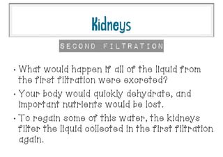 •
What would happen if all of the liquid from
the first filtration were excreted?
•
Your body would quickly dehydrate, and
important nutrients would be lost.
•
To regain some of this water, the kidneys
filter the liquid collected in the first filtration
again.
Second Filtration
Kidneys
 