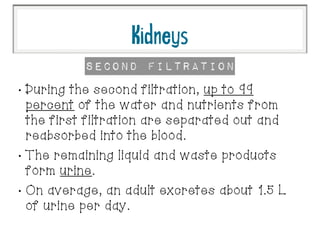 •
During the second filtration, up to 99
percent of the water and nutrients from
the first filtration are separated out and
reabsorbed into the blood.
•
The remaining liquid and waste products
form urine.
•
On average, an adult excretes about 1.5 L
of urine per day.
Second Filtration
Kidneys
 