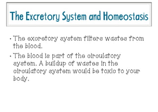 •
The excretory system filters wastes from
the blood.
•
The blood is part of the circulatory
system. A buildup of wastes in the
circulatory system would be toxic to your
body.
TheExcretorySystemandHomeostasis
 