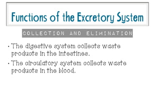 FunctionsoftheExcretorySystem
•
The digestive system collects waste
products in the intestines.
•
The circulatory system collects waste
products in the blood.
Collection and Elimination
 
