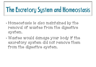 •
Homeostasis is also maintained by the
removal of wastes from the digestive
system.
•
Wastes would damage your body if the
excretory system did not remove them
from the digestive system.
TheExcretorySystemandHomeostasis
 