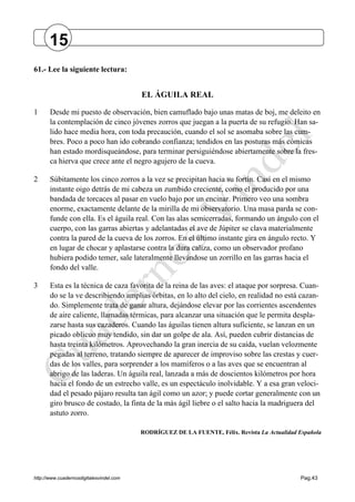 http://www.cuadernosdigitalesvindel.com Pag.43
61.- Lee la siguiente lectura:
EL ÁGUILA REAL
1 Desde mi puesto de observación, bien camuflado bajo unas matas de boj, me deleito en
la contemplación de cinco jóvenes zorros que juegan a la puerta de su refugio. Han sa-
lido hace media hora, con toda precaución, cuando el sol se asomaba sobre las cum-
bres. Poco a poco han ido cobrando confianza; tendidos en las posturas más cómicas
han estado mordisqueándose, para terminar persiguiéndose abiertamente sobre la fres-
ca hierva que crece ante el negro agujero de la cueva.
2 Súbitamente los cinco zorros a la vez se precipitan hacia su fortín. Casi en el mismo
instante oigo detrás de mi cabeza un zumbido creciente, como el producido por una
bandada de torcaces al pasar en vuelo bajo por un encinar. Primero veo una sombra
enorme, exactamente delante de la mirilla de mi observatorio. Una masa parda se con-
funde con ella. Es el águila real. Con las alas semicerradas, formando un ángulo con el
cuerpo, con las garras abiertas y adelantadas el ave de Júpiter se clava materialmente
contra la pared de la cueva de los zorros. En el último instante gira en ángulo recto. Y
en lugar de chocar y aplastarse contra la dura caliza, como un observador profano
hubiera podido temer, sale lateralmente llevándose un zorrillo en las garras hacia el
fondo del valle.
3 Esta es la técnica de caza favorita de la reina de las aves: el ataque por sorpresa. Cuan-
do se la ve describiendo amplias órbitas, en lo alto del cielo, en realidad no está cazan-
do. Simplemente trata de ganar altura, dejándose elevar por las corrientes ascendentes
de aire caliente, llamadas térmicas, para alcanzar una situación que le permita despla-
zarse hasta sus cazaderos. Cuando las águilas tienen altura suficiente, se lanzan en un
picado oblicuo muy tendido, sin dar un golpe de ala. Así, pueden cubrir distancias de
hasta treinta kilómetros. Aprovechando la gran inercia de su caída, vuelan velozmente
pegadas al terreno, tratando siempre de aparecer de improviso sobre las crestas y cuer-
das de los valles, para sorprender a los mamíferos o a las aves que se encuentran al
abrigo de las laderas. Un águila real, lanzada a más de doscientos kilómetros por hora
hacia el fondo de un estrecho valle, es un espectáculo inolvidable. Y a esa gran veloci-
dad el pesado pájaro resulta tan ágil como un azor; y puede cortar generalmente con un
giro brusco de costado, la finta de la más ágil liebre o el salto hacia la madriguera del
astuto zorro.
RODRÍGUEZ DE LA FUENTE, Félix. Revista La Actualidad Española
15
 