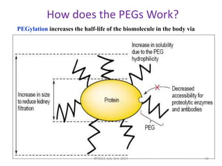 How does the PEGs Work? 
PEGylation increases the half-life of the biomolecule in the body via 
BT5011-July-Dec-2014 15 
 