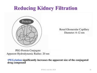 Reducing Kidney Filtration 
•PEGylation significantly increases the apparent size of the conjugated 
drug compound 
BT5011-July-Dec-2014 16 
 