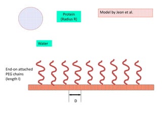 Protein 
(Radius R) 
Water 
End-on attached 
PEG chains 
(length l) 
D 
Model by Jeon et al. 
 