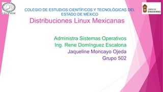 Distribuciones Linux Mexicanas
Administra Sistemas Operativos
Ing. Rene Domínguez Escalona
Jaqueline Moncayo Ojeda
Grupo 502
COLEGIO DE ESTUDIOS CIENTÍFICOS Y TECNOLÓGICAS DEL
ESTADO DE MÉXICO
 
