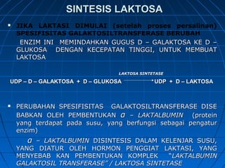 SINTESIS LAKTOSASINTESIS LAKTOSA
 JIKA LAKTASI DIMULAI (setelah proses persalinan)
SPESIFISITAS GALAKTOSILTRANSFERASE BERUBAH
ENZIM INI MEMINDAHKAN GUGUS D – GALAKTOSA KE D –ENZIM INI MEMINDAHKAN GUGUS D – GALAKTOSA KE D –
GLUKOSA DENGAN KECEPATAN TINGGI, UNTUK MEMBUATGLUKOSA DENGAN KECEPATAN TINGGI, UNTUK MEMBUAT
LAKTOSALAKTOSA
LAKTOSA SINTETASELAKTOSA SINTETASE
UDP – D – GALAKTOSA + D – GLUKOSA UDP + D – LAKTOSAUDP – D – GALAKTOSA + D – GLUKOSA UDP + D – LAKTOSA
 PERUBAHAN SPESIFISITAS GALAKTOSILTRANSFERASE DISEPERUBAHAN SPESIFISITAS GALAKTOSILTRANSFERASE DISE
BABKAN OLEH PEMBENTUKANBABKAN OLEH PEMBENTUKAN αα – LAKTALBUMIN– LAKTALBUMIN (protein(protein
yang terdapat pada susu, yang berfungsi sebagai pengaturyang terdapat pada susu, yang berfungsi sebagai pengatur
enzim)enzim)
αα – LAKTALBUMIN– LAKTALBUMIN DISINTESIS DALAM KELENJAR SUSU,DISINTESIS DALAM KELENJAR SUSU,
YANG DIATUR OLEH HORMON PENGGIAT LAKTASI, YANGYANG DIATUR OLEH HORMON PENGGIAT LAKTASI, YANG
MENYEBAB KAN PEMBENTUKAN KOMPLEK “MENYEBAB KAN PEMBENTUKAN KOMPLEK “LAKTALBUMINLAKTALBUMIN
GALAKTOSIL TRANSFERASE” / LAKTOSA SINTETASEGALAKTOSIL TRANSFERASE” / LAKTOSA SINTETASE
 