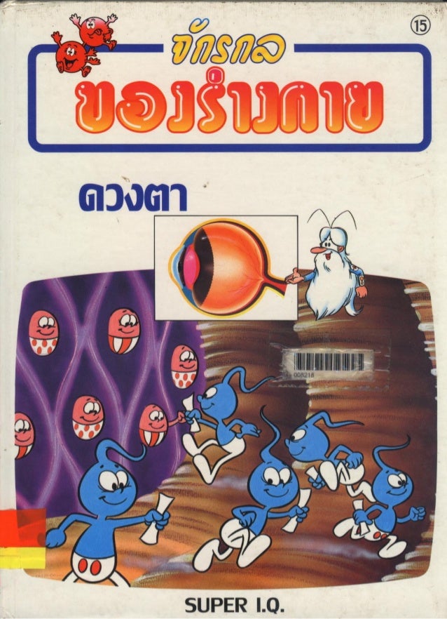 จ กรกลของร างกาย 15 ดวงตา