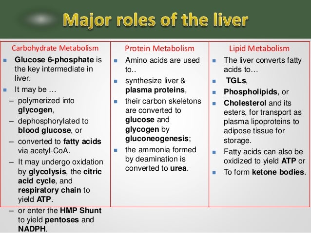 after to how 60 increase metabolism Integration Metabolism of