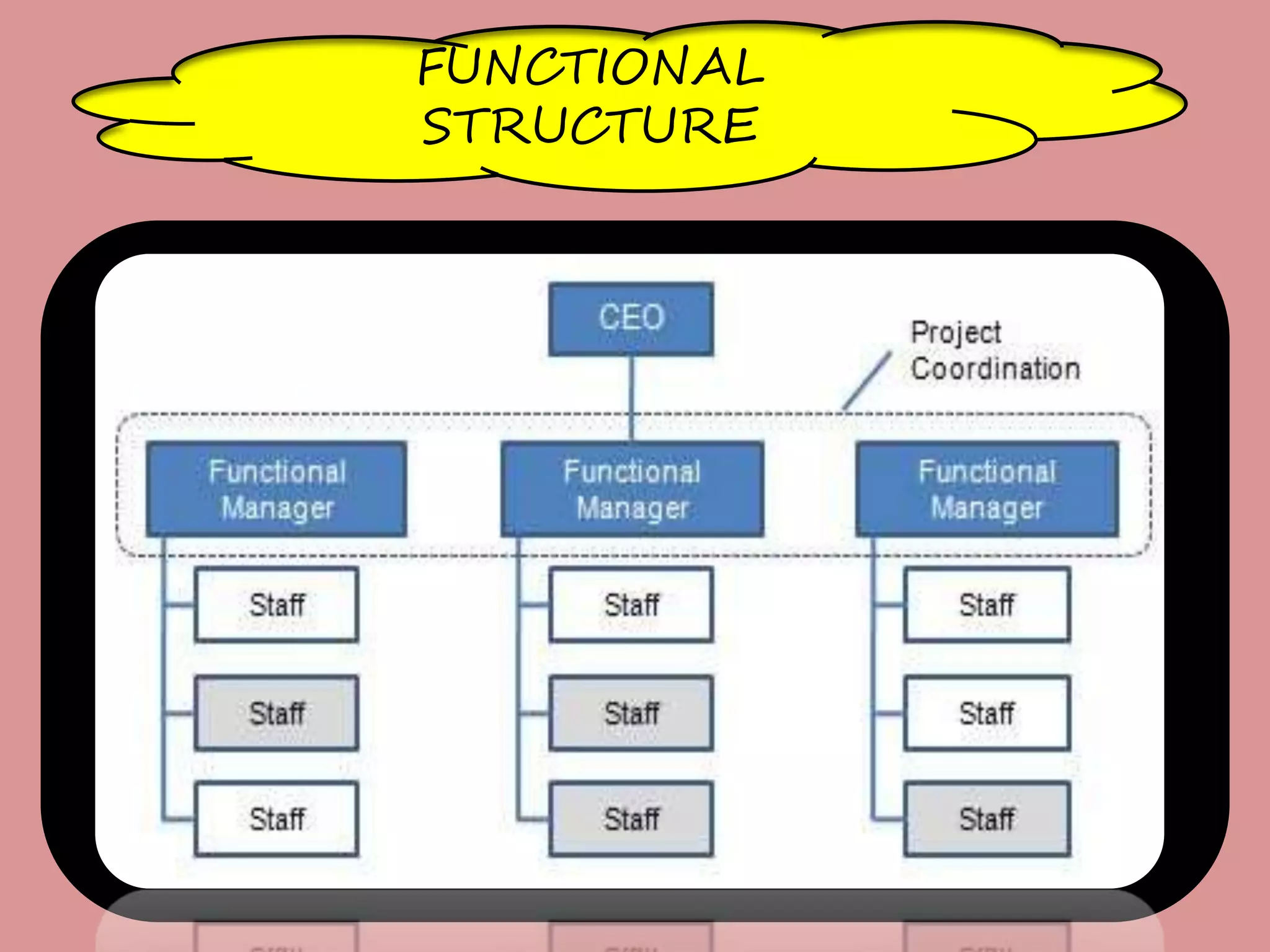 FUNCTIONAL
STRUCTURE
 