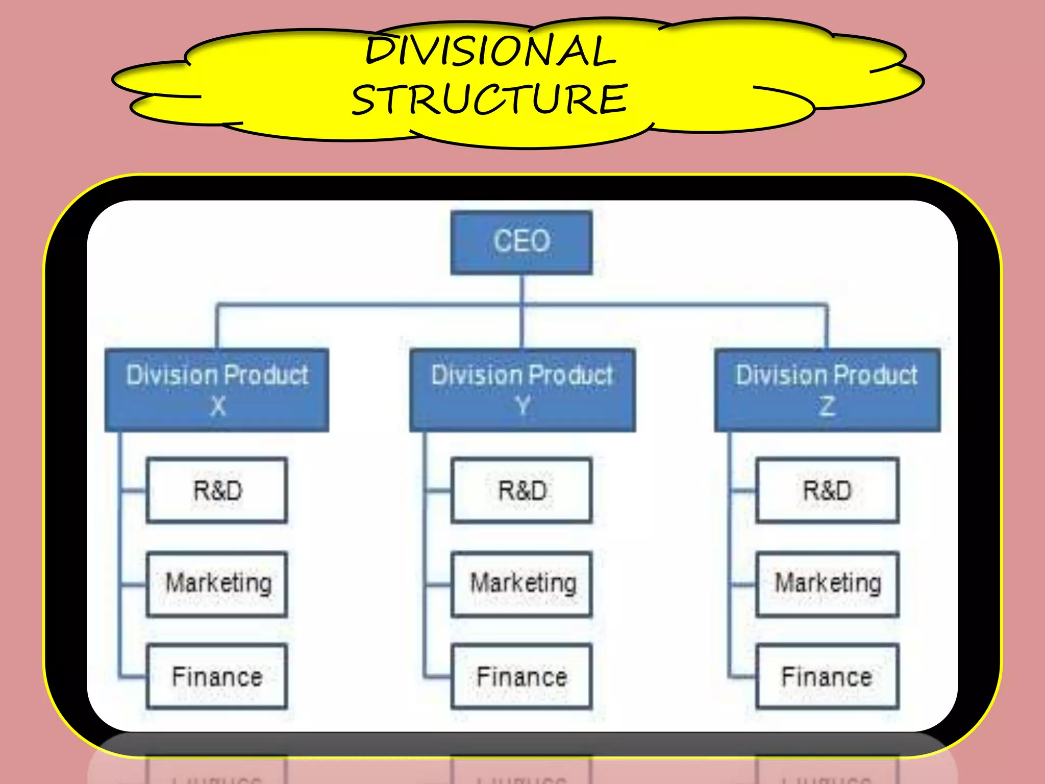 DIVISIONAL
STRUCTURE
 