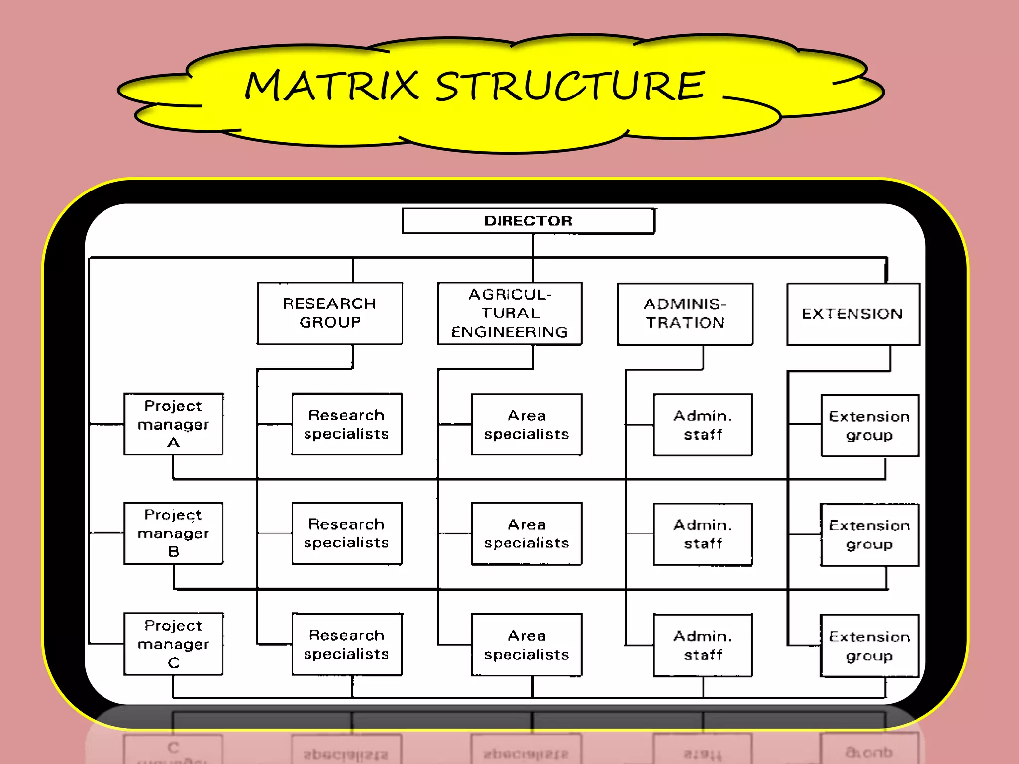 MATRIX STRUCTURE
 