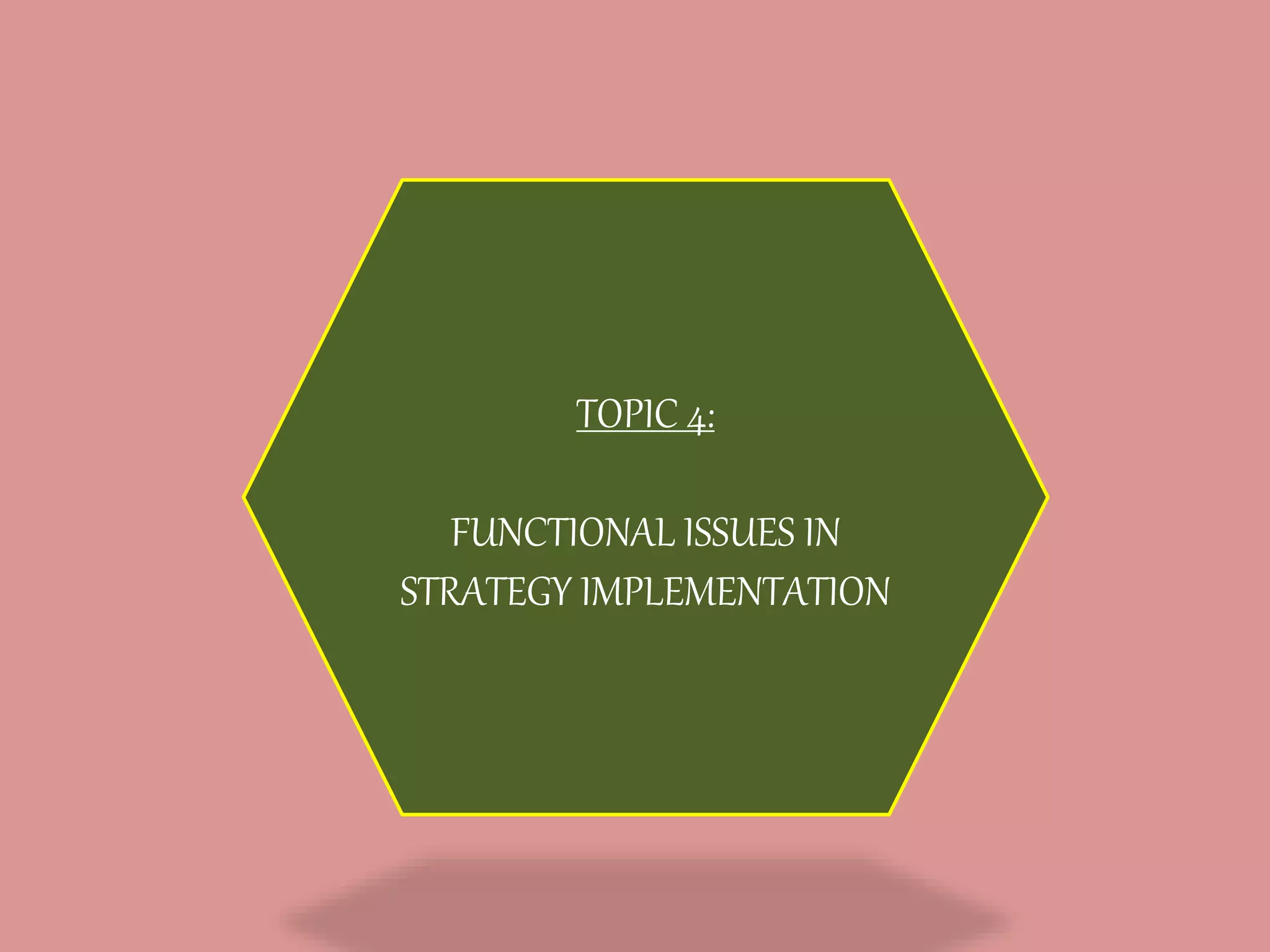 TOPIC 4:
FUNCTIONAL ISSUES IN
STRATEGY IMPLEMENTATION
 