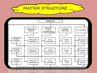 MATRIX STRUCTURE
 