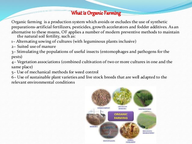 Organic And Local Food Movements Organic And Local Food Movements