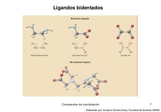 complejos introduccion