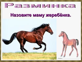 Назовите маму жеребёнка.Назовите маму жеребёнка.
 