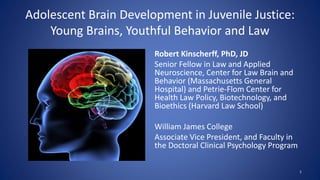 Adolescent Brain Development in Juvenile Justice:
Young Brains, Youthful Behavior and Law
Robert Kinscherff, PhD, JD
Senior Fellow in Law and Applied
Neuroscience, Center for Law Brain and
Behavior (Massachusetts General
Hospital) and Petrie-Flom Center for
Health Law Policy, Biotechnology, and
Bioethics (Harvard Law School)
William James College
Associate Vice President, and Faculty in
the Doctoral Clinical Psychology Program
1
 
