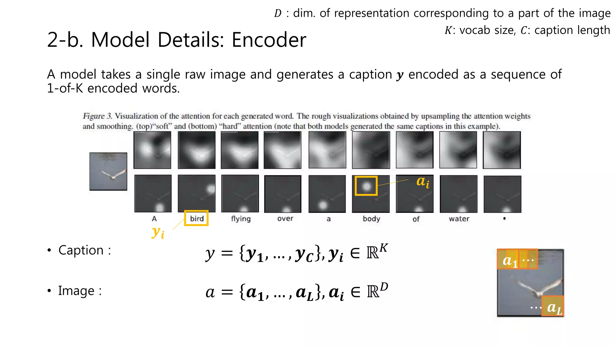 2-b. Model Details: Encoder
A model takes a single raw image and generates a caption 𝒚 encoded as a sequence of
1-of-K encoded words.
• Caption :
• Image :
𝑦 = 𝒚 𝟏, … , 𝒚 𝑪 , 𝒚𝒊 ∈ ℝ 𝐾
𝐾: vocab size, 𝐶: caption length
𝐷 : dim. of representation corresponding to a part of the image
𝑎 = 𝒂 𝟏, … , 𝒂 𝑳 , 𝒂𝒊 ∈ ℝ 𝐷
𝒂𝒊
𝒚𝒊
𝒂 𝑳
𝒂 𝟏 ⋯
⋯
 