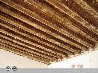 WELLDOM | Mail: info@welldom.it | Sito: www.welldom.it | Blog: www.atelierwelldom.it | Tel: 0423605551
 