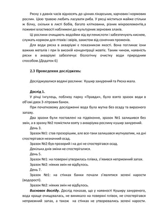 Ряску з давніх часів відносять до цінних лікарських, харчових і кормових
рослин. Цією травою любить ласувати риба. У рясці міститься майже стільки
ж білку, скільки в листі бобів, багато клітковини, різних мікроелементів,а
поживні властивості наближені до культурних зернових злаків.
Ці рослини очищають водойми від вуглекислоти і забезпечують киснем,
служать кормом для птахів і звірів, захистом від сонячних променів.
Для води ряска в акваріумі є показником якості. Вона поглинає іони
важких металів і при їх високій концентрації жовтіє. Таким чином, наявність
ряски в акваріумі забезпечує біологічну очистку води природним
способом.(Додаток 6)
2.3 Проведення досліджень:
Досліджувалися водяні рослини: Кушир занурений та Ряска мала.
Дослід 1.
У річці Інгулець, поблизу парку «Правди», було взято зразок води в
об’ємі двох 3-літрових банок.
При початковому дослідженні вода була мутна без осаду та виразного
запаху.
Два зразки були поставлені на підвіконня, зразок №1 залишився без
змін, а в зразку №2 помістили взяту з акваріума рослину кушир занурений.
День 3.
Зразок №1: став прозорішим, але все-таки залишався мутнуватим, на дні
спостерігався незначний осад.
Зразок №2:був прозорий і на дні не спостерігався осад.
Декілька днів зміни не спостерігалися.
День 5.
Зразок №1: на поверхні утворилась плівка, з’явився неприємний запах.
Зразок №2: ніяких змін не відбулось.
День 7.
Зразок №1: на стінках банки почали з’являтися зелені нарости
(водорості).
Зразок №2: ніяких змін не відбулось.
Висновок досліду. Дослід показав, що у наявності Куширу зануреного,
вода краще очищувалась, не виникало на поверхні плівок, не спостерігався
неприємний запах, а також на стінках не утворювались зелені нарости.
 