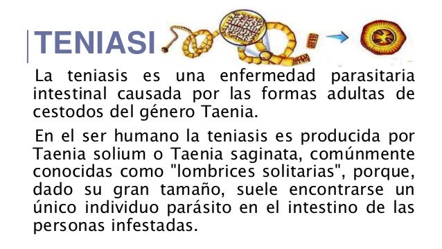 El letargo pasa por el parásito