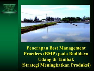 Penerapan Best Management
Practices (BMP) pada Budidaya
Udang di Tambak
(Strategi Meningkatkan Produksi)
 