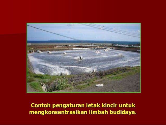 Kincir Air Ikan Dan Udang - 15 Budidaya Udang Di Tambak kincir air ikan dan udang 15 budidaya udang di tambak