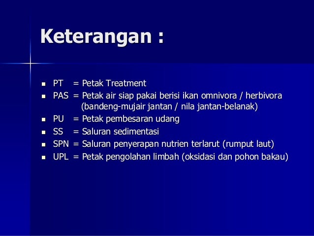 15 Budidaya Udang Di Tambak