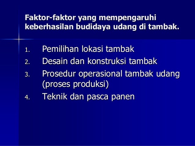 15 Budidaya Udang Di Tambak