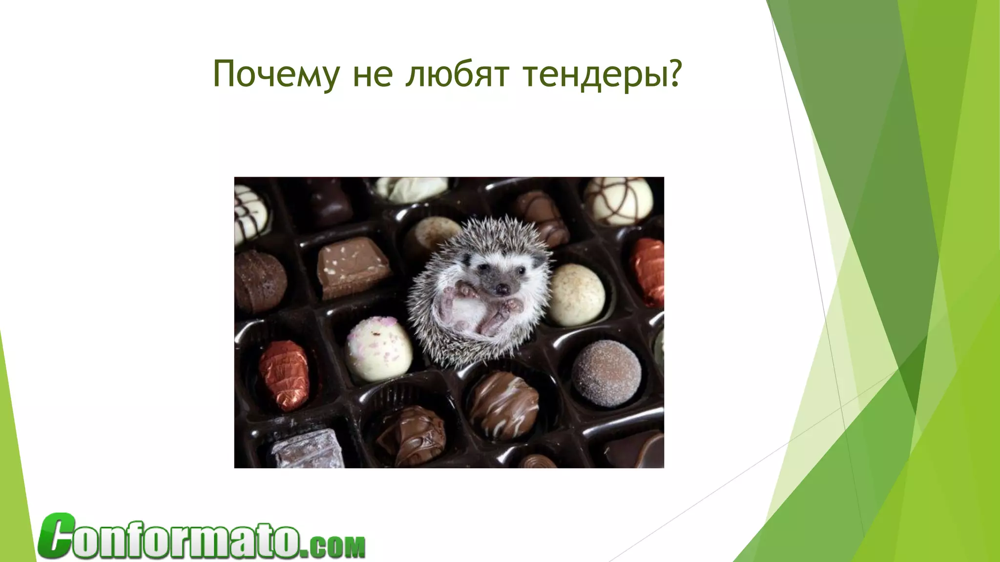 Почему не любят тендеры?
 