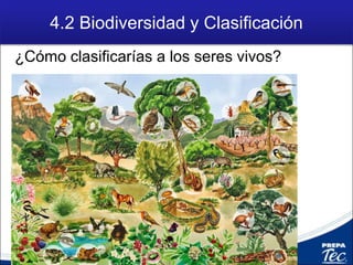 4.2 Biodiversidad y Clasificación
¿Cómo clasificarías a los seres vivos?
 