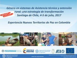 Género en sistemas de Asistencia técnica y extensión
rural: una estrategia de transformación
Santiago de Chile, 4-5 de julio, 2017
Experiencia Nuevos Territorios de Paz en Colombia
 