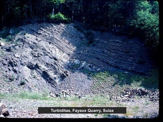 Turbiditas, Fayaux Quarry, Suiza
 