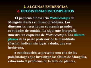 2. ALGUNAS EVIDENCIAS
d. ECOSISTEMAS INCOMPLETOS
El pequeño dinosaurio Protoceratops de
Mongolia ilustra el mismo problema. Los
dinosaurios necesitaban consumir grandes
cantidades de comida. La siguiente fotografía
muestra un esqueleto de Protoceratops. Los dientes
planos de la parte posterior de la mandíbula
(flecha), indican sin lugar a duda, que era
herbívoro.
A continuación se presenta una cita de los
paleóntologos que investigan los fósiles de Mongolia,
esbozando el problema de la falta de plantas.
 