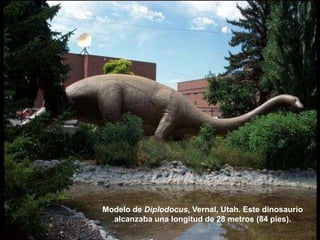 Modelo de Diplodocus, Vernal, Utah. Este dinosaurio
alcanzaba una longitud de 28 metros (84 pies).
 