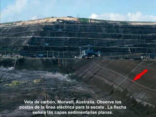 Veta de carbón, Morwell, Australia. Observe los
postes de la línea eléctrica para la escala . La flecha
señala las capas sedimentarias planas.
 