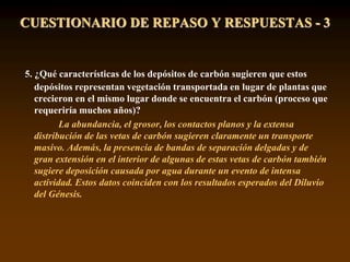 5. ¿Qué características de los depósitos de carbón sugieren que estos
depósitos representan vegetación transportada en lugar de plantas que
crecieron en el mismo lugar donde se encuentra el carbón (proceso que
requeriría muchos años)?
La abundancia, el grosor, los contactos planos y la extensa
distribución de las vetas de carbón sugieren claramente un transporte
masivo. Además, la presencia de bandas de separación delgadas y de
gran extensión en el interior de algunas de estas vetas de carbón también
sugiere deposición causada por agua durante un evento de intensa
actividad. Estos datos coinciden con los resultados esperados del Diluvio
del Génesis.
CUESTIONARIO DE REPASO Y RESPUESTAS - 3
 