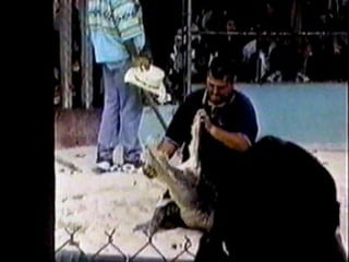 4-  المخاطر  HAZARDs    2-3  أنواع الخطر 