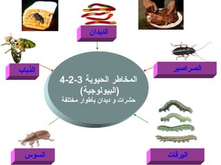 4-2-3  المخاطر الحيوية  ( البيولوجية )  حشرات و ديدان بأطوار مختلفة الديدان الصراصير الذباب السوس اليرقات 