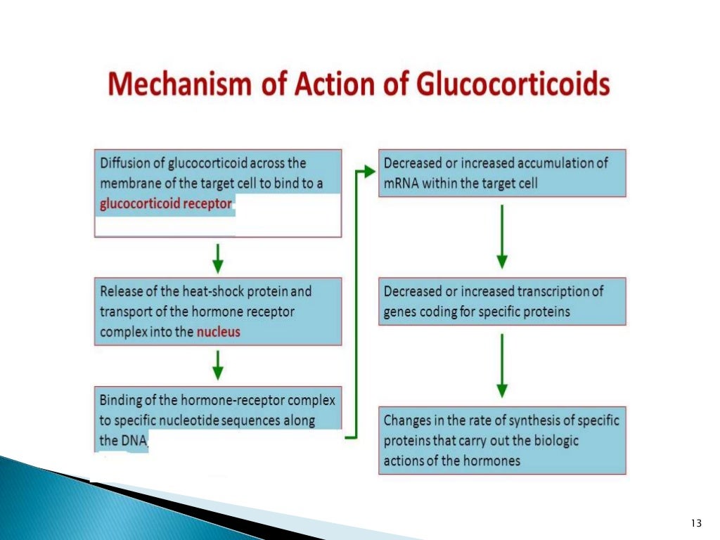 endocrine drugs pharmacology