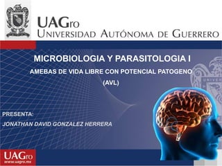 MICROBIOLOGIA Y PARASITOLOGIA I
AMEBAS DE VIDA LIBRE CON POTENCIAL PATOGENO
(AVL)
PRESENTA:
JONATHAN DAVID GONZALEZ HERRERA
 