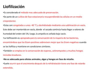 Liofilización
•Es considerado el método mas adecuado de preservación.
•Se parte de un cultivo de fase estacionaria resuspendiendo las células en un medio
crioprotector.
•Estas son congeladas a unos -40 °C y deshidratada mediante una sublimación en vacío.
Este debe ser mantenido en vacío, donde el secado continúa hasta llegar a valores de
humedad del orden del 1%; luego, la ampolla es sellada bajo vacío.
•La liofilización es apropiada para la conservación de la mayoría de las bacterias,
encontrándose que las Gram-positivas sobreviven mejor que las Gram-negativas cuando
se las liofiliza y mantiene en condiciones similares.
•También se emplea en la conservación de esporos, actinomycetes y muchos hongos
incluidas levaduras.
•No es adecuada para células animales, algas y hongos en fase de micelio.
•Suele ocurrir que el crecimiento después de la rehidratación tiene una fase de retardo
extendida.
 