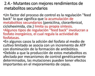 2.4.- Mutantes con mejores rendimientos de
metabolitos secundarios
•Un factor del proceso de control es la regulación "feed
back" lo que significa que la acumulación de
metabolitos secundarios (penicilina, cloranfenicol,
cicloheximida, cte.) limita su propia síntesis.
•Algunos tipos de regulación "feed back" involucran a
fosfato inorgánico, el cual regula la actividad de
fosfatasas.
•En algunos casos la adición del fosfato al medio de
cultivo limitado se asocia con un incremento de ATP
con disminución de la formación de antibiótico.
•Debido a que la producción de estos metabolitos es
afectada por mecanismos de control genéticamente
determinados, las mutaciones pueden tener efectos
importantes en el mejoramiento de cepas.
 
